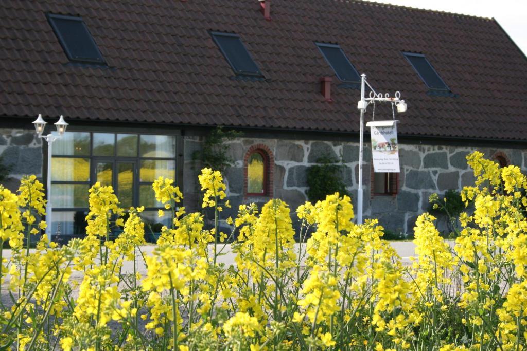 Blåsingsborgs Gårdshotell Kivik Eksteriør bilde